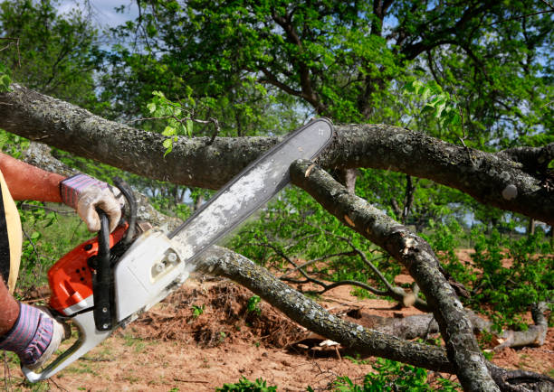 Lawn Drainage Solutions in Vinton, VA